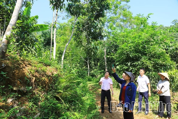 Nguồn vốn tín dụng tạo sinh kế vững chắc cho người dân vùng cao