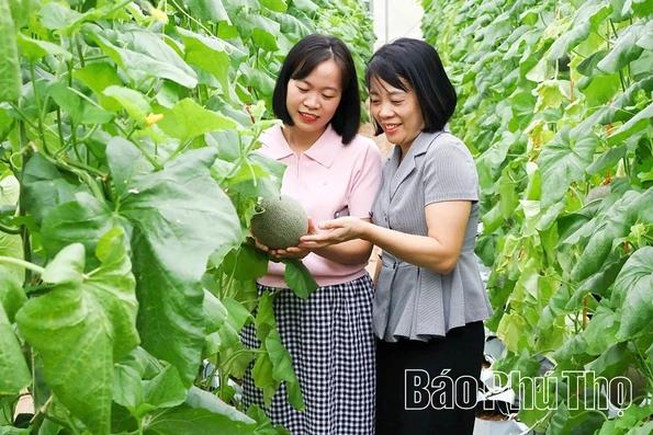 Khơi “dòng chảy” công nghệ cho các mục tiêu phát triển