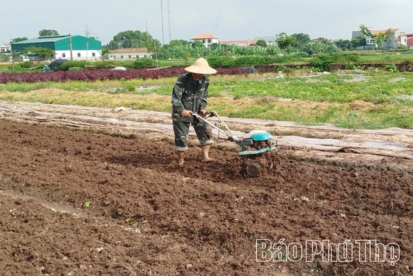 Nâng cao hiệu quả sản xuất vụ Đông
