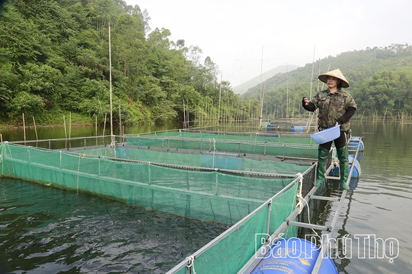 “Thảm đỏ” nơi đất Mẹ Âu Cơ