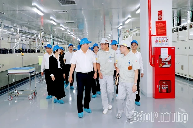 Building and Developing a Stronger Business Community and Entrepreneurial Force in Phu Tho