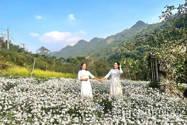 Phu Tho Welcomes nearly 305,000 Tourists During New Year Holiday