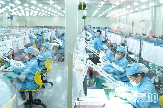 Hân hoan thi đua lao động sản xuất đầu Xuân