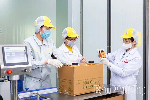 Phụ nữ Đất Tổ bứt phá từ đổi mới tư duy