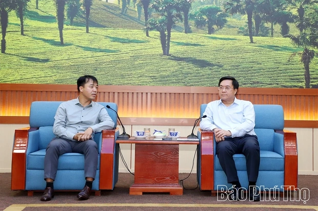 Chairman of Provincial People’s Committee Tran Duy Dong Receives and Works with TCC Group and MM Mega Market Vietnam Co., Ltd.