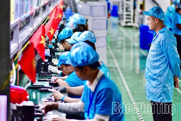 Phát triển tổ chức Đảng tại các doanh nghiệp ngoài khu vực Nhà nước