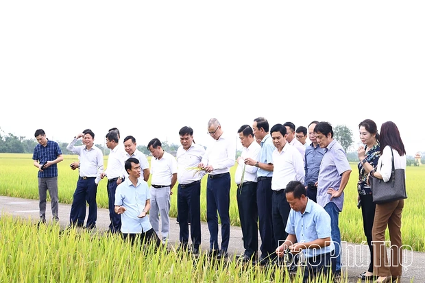 Ứng dụng khoa học công nghệ để nhân rộng mô hình sản xuất nông nghiệp hiệu quả