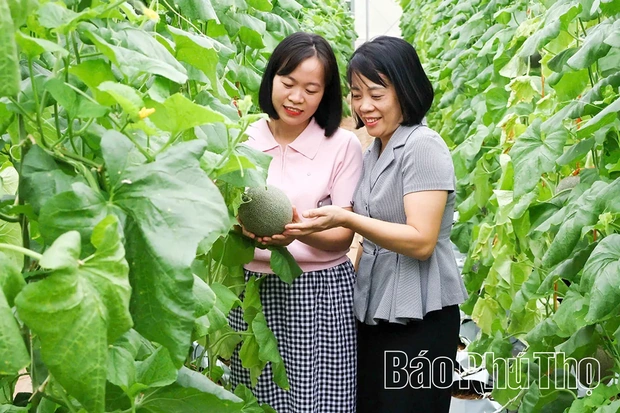 Khơi “dòng chảy” công nghệ cho các mục tiêu phát triển