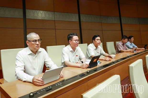 Đại biểu Quốc hội tỉnh thảo luận các dự án Luật về quản lý sử dụng vũ khí, vật liệu nổ, bảo vệ công trình quan trọng liên quan an ninh quốc gia