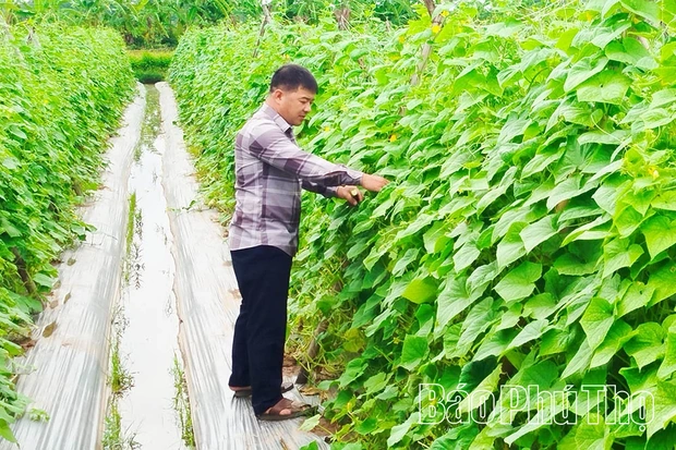 Bảo đảm nguồn cung thực phẩm dịp cuối năm