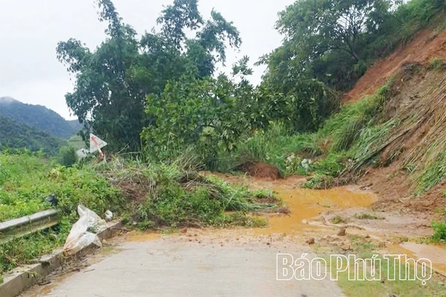 Phú Thọ chủ động ứng phó mưa lớn, lũ, ngập lụt, sạt lở đất