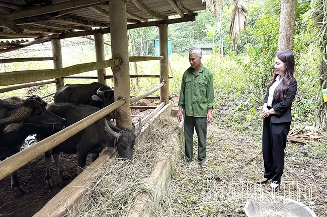 Vùng cao chủ động phòng chống rét đậm, rét hại