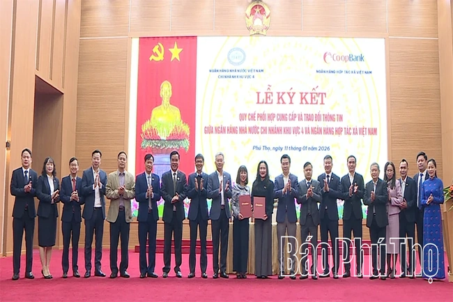 Triển khai nhiệm vụ Quỹ tín dụng nhân dân năm 2026