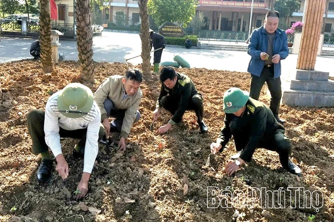 Tết trồng cây - Gieo mầm xanh, dựng xây quê hương