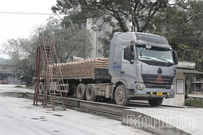 Xi măng Vicem Sông Thao xuất hàng đầu năm
