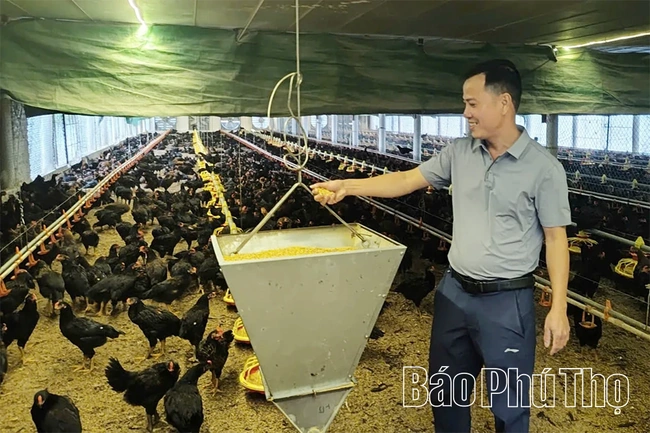 Tái đàn, tăng cường phòng bệnh cho vật nuôi sau cao điểm dịp Tết