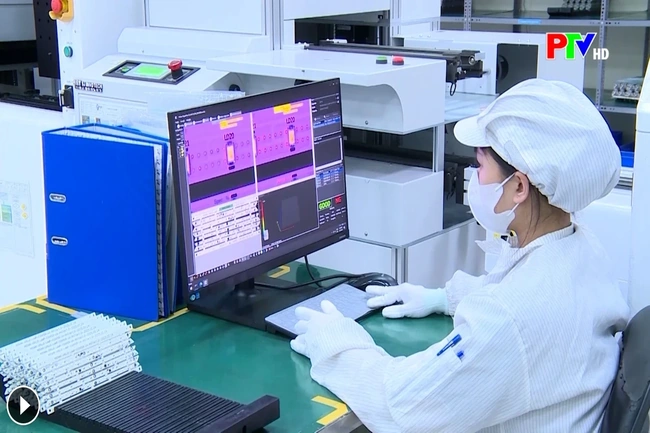 Doanh nghiệp FDI cần chủ động rà soát quyết toán thuế