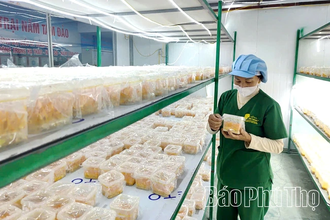 Chuyển đổi số nâng cao hiệu quả hoạt động