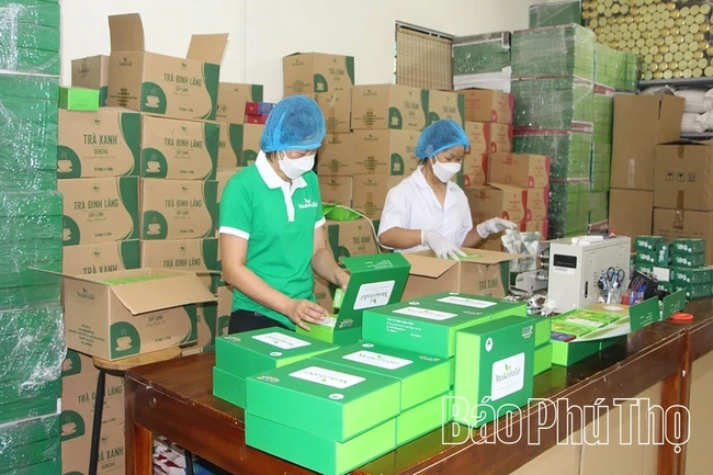 Active Preparations for the 2026 Hung Vuong Fair