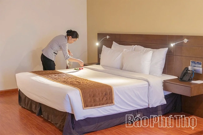 Các cơ sở lưu trú sẵn sàng phục vụ du khách