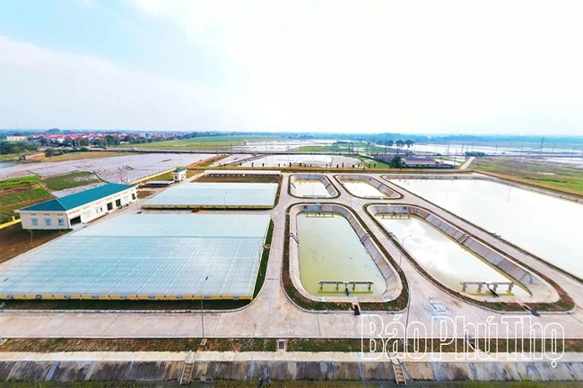 Đẩy nhanh tiến độ Dự án đô thị xanh Vĩnh Phúc