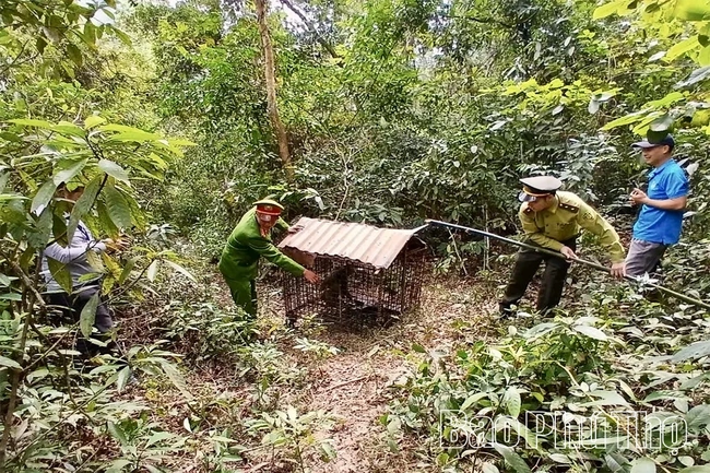 Tăng cường phòng, chống tội phạm về đa dạng sinh học