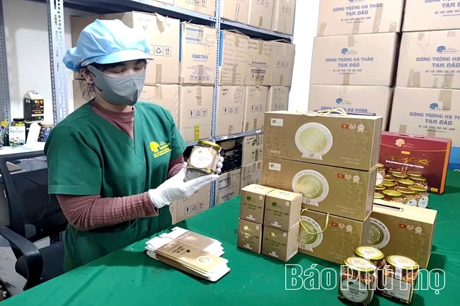 Gắn bảo vệ môi trường với phát triển sản phẩm OCOP