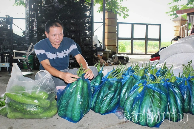 Bước chuyển mình ấn tượng ở&nbsp;Hoàng&nbsp;An