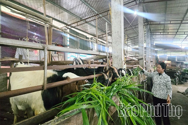Hợp Lý khai thác lợi thế, tạo động lực phát triển