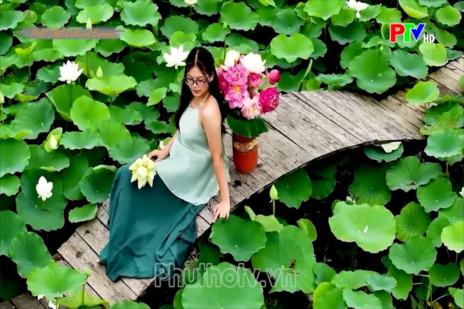The summer scent of lotus