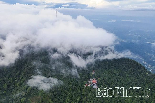 Spiritual Impression on Tam Dao Mountain