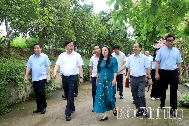 Phát triển nông nghiệp quy mô lớn, công nghệ cao gắn với sinh thái, chế biến sâu và du lịch trải nghiệm