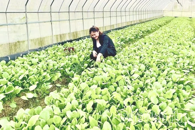 Ứng dụng công nghệ số trong nông nghiệp