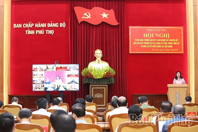 Thông báo kết luận giám sát chuyên đề đối với Ban Thường vụ các Đảng ủy trực thuộc Tỉnh ủy và một số tổ chức Đảng có liên quan
