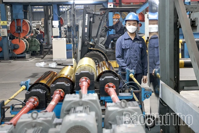Nâng tầm kinh tế tư nhân