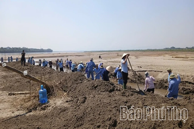 Mực nước sông Hồng xuống thấp, hàng trăm công nhân khơi dòng chảy phục vụ sản xuất nước sạch