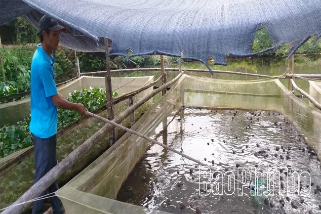 Giai đoạn 2026-2030, Phú Thọ được hỗ trợ hơn 4.651 tỷ đồng thực hiện các chương trình mục tiêu quốc gia