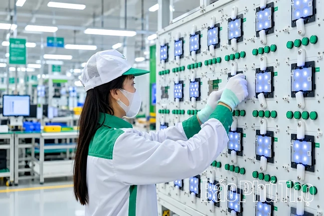 Hội nhập kinh tế quốc tế - câu chuyện một doanh nghiệp