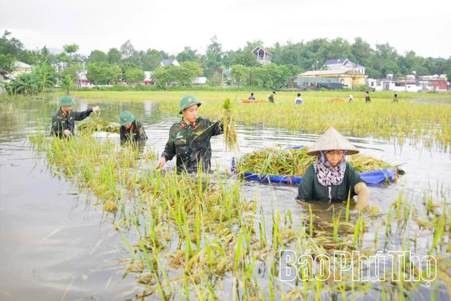 Dân vận khéo vun đắp nghĩa tình quân - dân