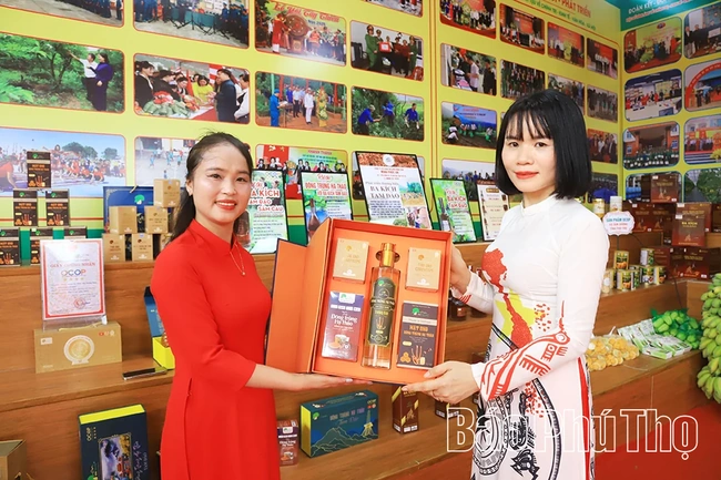 Đẩy mạnh phát triển thương mại điện tử trên địa bàn tỉnh