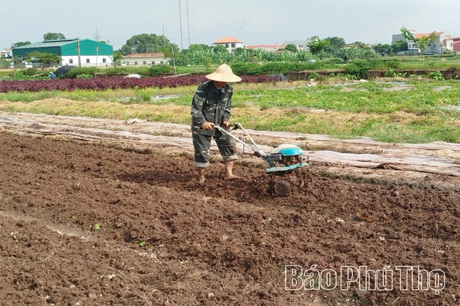 Nâng cao hiệu quả sản xuất vụ Đông