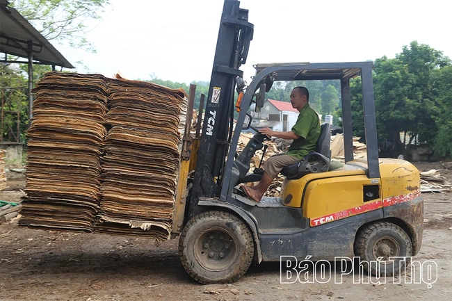 Nghề chế biến gỗ ở Tây Cốc