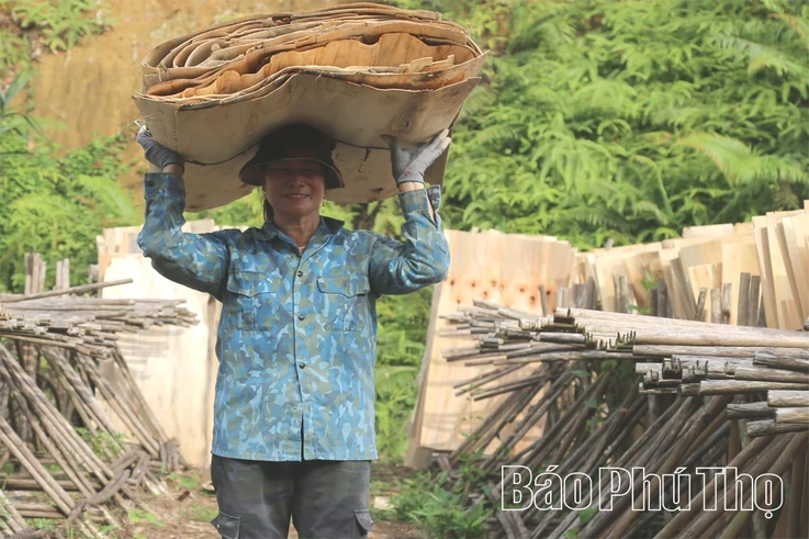 Phát triển nghề chế biến gỗ ở Tây Cốc