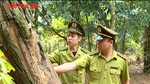 Chủ động ứng phó với nguy cơ cháy rừng mùa nắng nóng