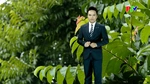 Dự báo thời tiết tỉnh Phú Thọ ngày 2/5/2026