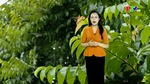 Dự báo thời tiết tỉnh Phú Thọ ngày 16/5/2026