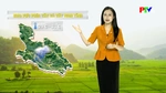 Dự báo thời tiết tỉnh Phú Thọ ngày 21/5/2026