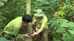 Bảo vệ sự đa dạng sinh học