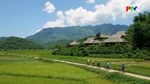 Để di sản thành tài sản