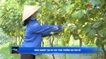 Nông nghiệp tạo đà cho tăng trưởng hai con số